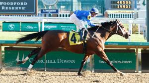 Godolphin, Nash, Gun Runner Stakes, Fair Grounds, Coady Photography